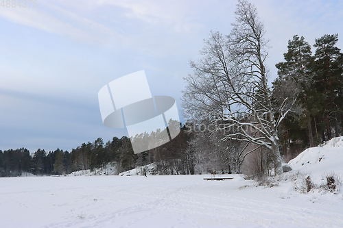 Image of Norwegian winter landscape