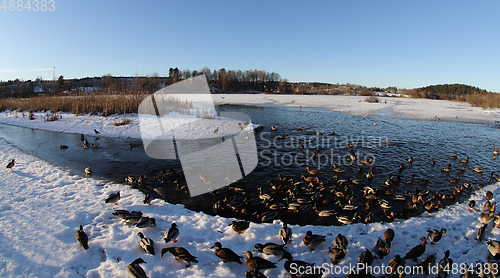 Image of Østensjøvannet