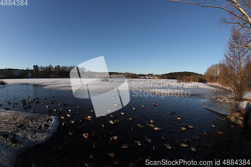 Image of Østensjøvannet