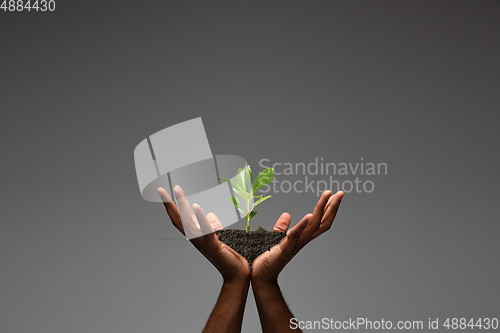 Image of Human hands holding a fresh green plant, symbol of growing business, environmental conservation and bank savings. Planet in your hands.