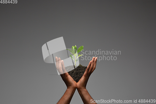 Image of Human hands holding a fresh green plant, symbol of growing business, environmental conservation and bank savings. Planet in your hands.