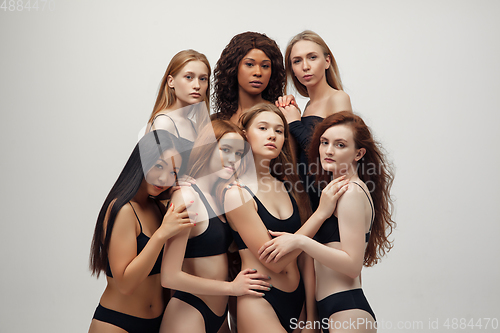 Image of Group of women with different body and ethnicity posing together to show the woman power and strength. Curvy and skinny kind of female body concept