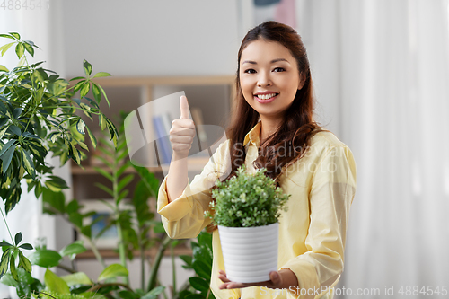 Image of happy asian woman with flower in pot at home