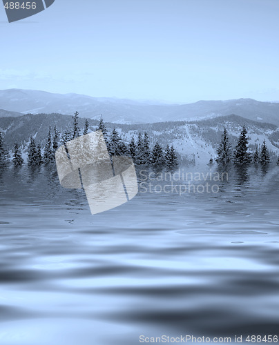 Image of Forest landscape