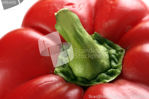 Image of Shiny peppers 