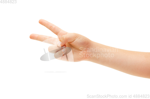 Image of Children\'s hand, palm gesturing isolated on white studio background