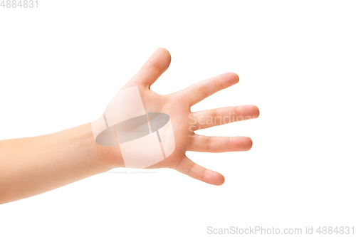 Image of Children\'s hand, palm gesturing isolated on white studio background