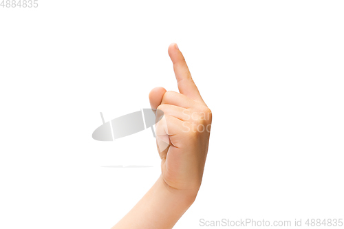 Image of Children\'s hand, palm gesturing isolated on white studio background