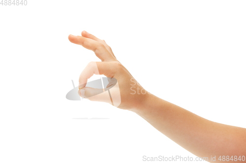 Image of Children\'s hand, palm gesturing isolated on white studio background