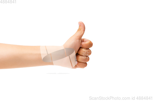 Image of Children\'s hand, palm gesturing isolated on white studio background