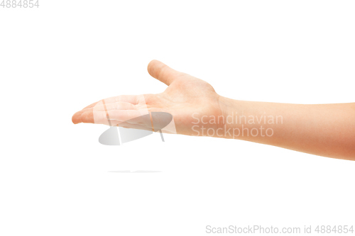 Image of Children\'s hand, palm gesturing isolated on white studio background