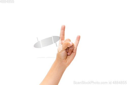 Image of Children\'s hand, palm gesturing isolated on white studio background