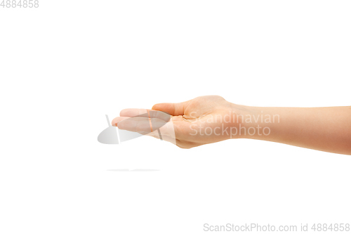 Image of Children\'s hand, palm gesturing isolated on white studio background