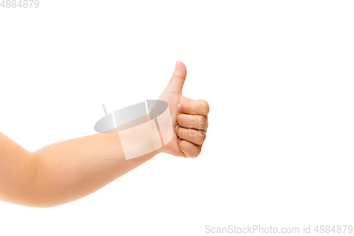 Image of Children\'s hand, palm gesturing isolated on white studio background