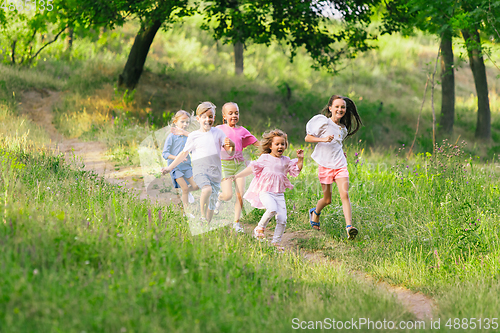 Image of Kids, children running on meadow in summer\'s sunlight