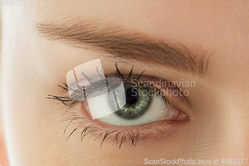 Image of Close up of face of beautiful caucasian young woman, focus on eyes. Human emotions, facial expression, cosmetology, body and skin care concept.