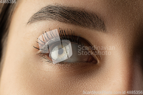 Image of Close up of face of beautiful caucasian young woman, focus on eyes. Human emotions, facial expression, cosmetology, body and skin care concept.