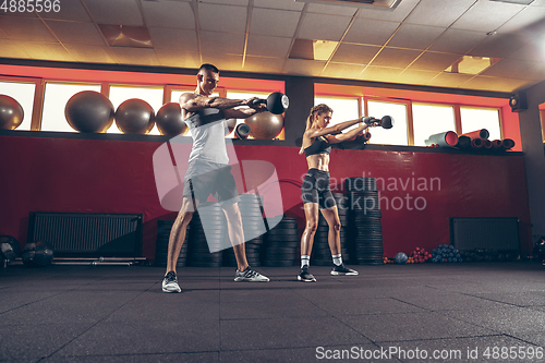Image of Beautiful young sporty couple training, workout in gym together