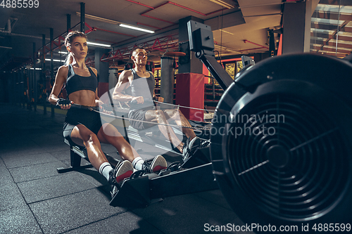 Image of Beautiful young sporty couple training, workout in gym together