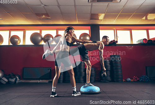 Image of Beautiful young sporty couple training, workout in gym together