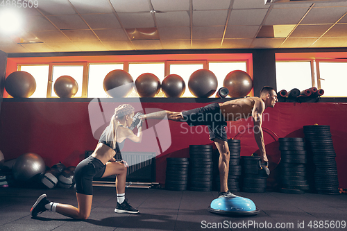 Image of Beautiful young sporty couple training, workout in gym together