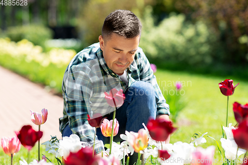 Image of middle-aged man taking care of flowers at garden