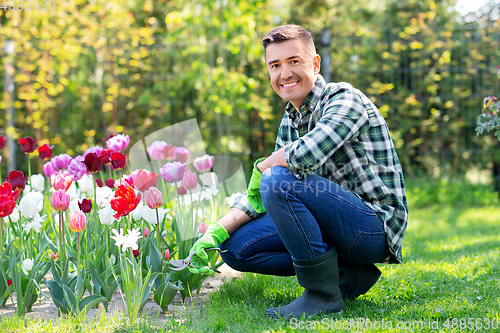 Image of man with pruner taking care of flowers at garden