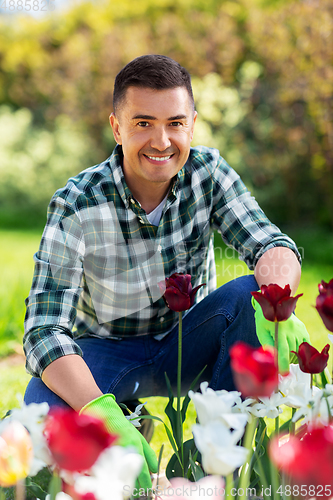 Image of middle-aged man taking care of flowers at garden