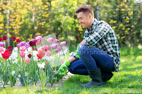 Image of man with pruner taking care of flowers at garden