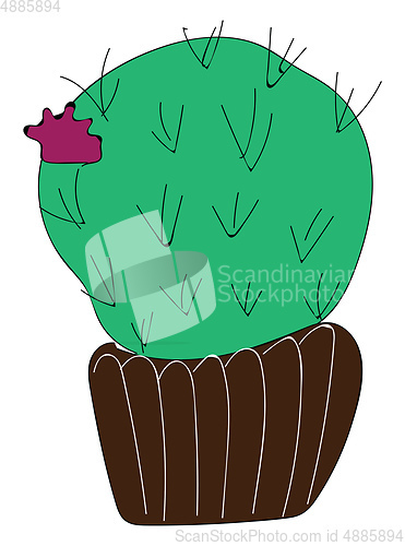 Image of Big nose cactus plant vector or color illustration