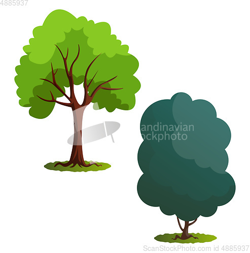 Image of Couple of green trees vector illustration on white background