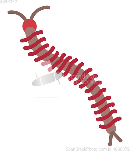 Image of Simple vector illustration of a brown and red centipede on white