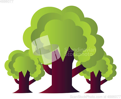 Image of Three trees simple vector illustration on a white background