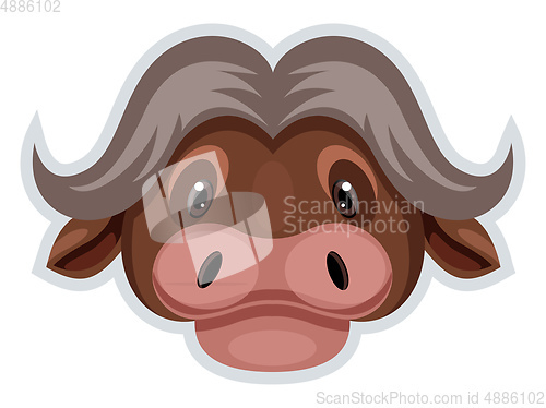 Image of Buffalo, vector color illustration.