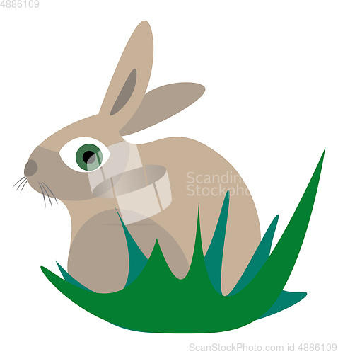 Image of Rabbit illustration vector on white background 