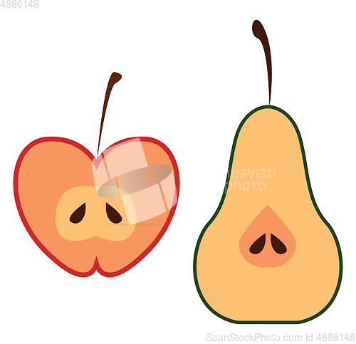 Image of Half-cut apple and pear cartoon fruits vector or color illustrat