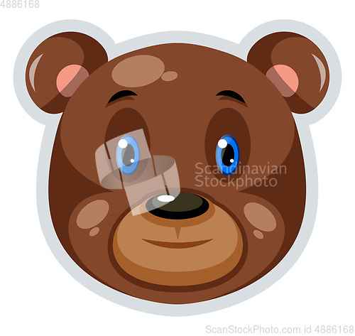 Image of Bear, vector color illustration.