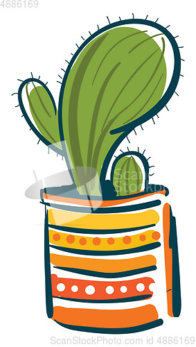 Image of A single cactus plant in a designer flower pot provides extra st