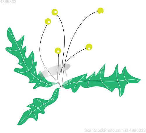 Image of Simple image of little yellow flowers basic RGB vector on white 