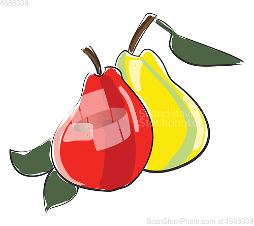 Image of A pair of red and yellow pears vector or color illustration