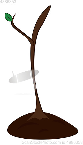 Image of A small tree above the ground has a single leaf vector color dra