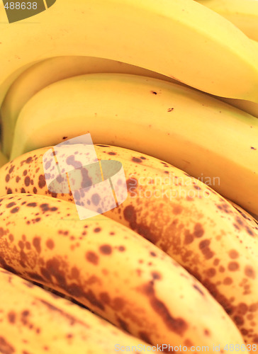 Image of Bananas