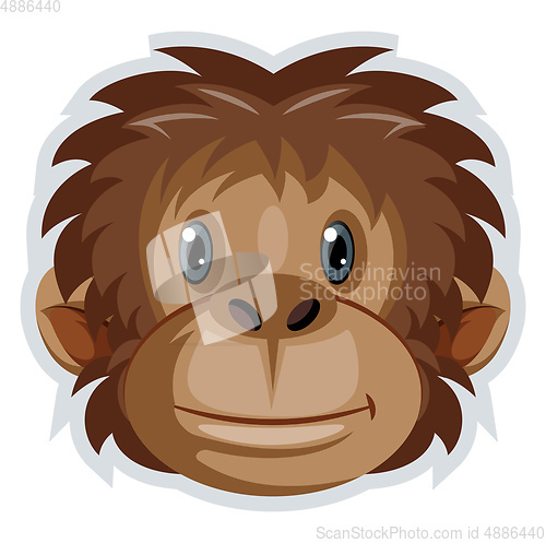 Image of Monkey, vector color illustration.