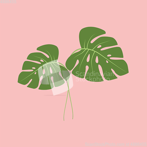 Image of A tropic plant vector or color illustration