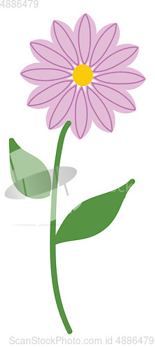 Image of Simple purple flower 