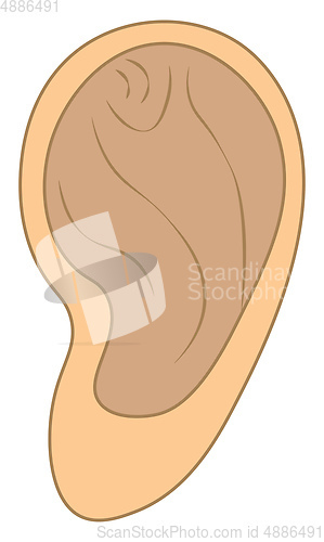 Image of Ear anatomy of the human sense of organ used for hearing vector 