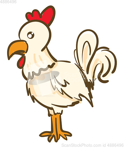 Image of A white and red chicken vector or color illustration