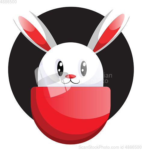 Image of White easter rabbit face in front black circle illustration web 