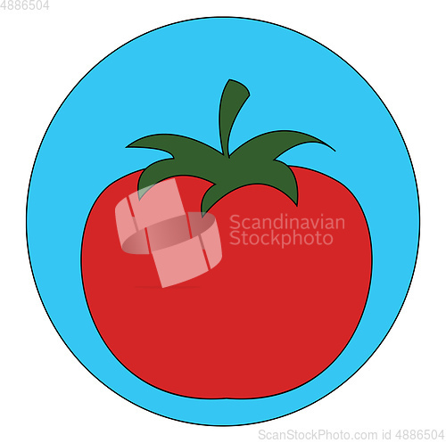 Image of A big tomato vector or color illustration
