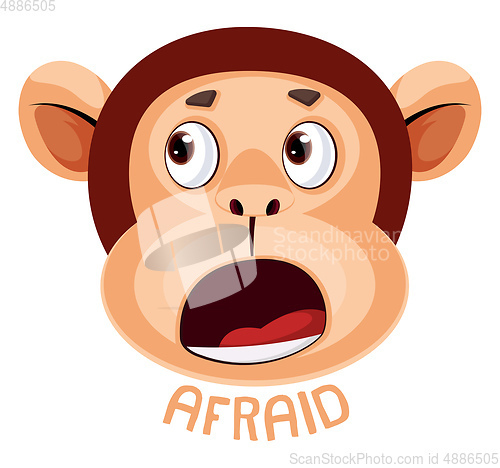 Image of Monkey is feeling afraid, illustration, vector on white backgrou